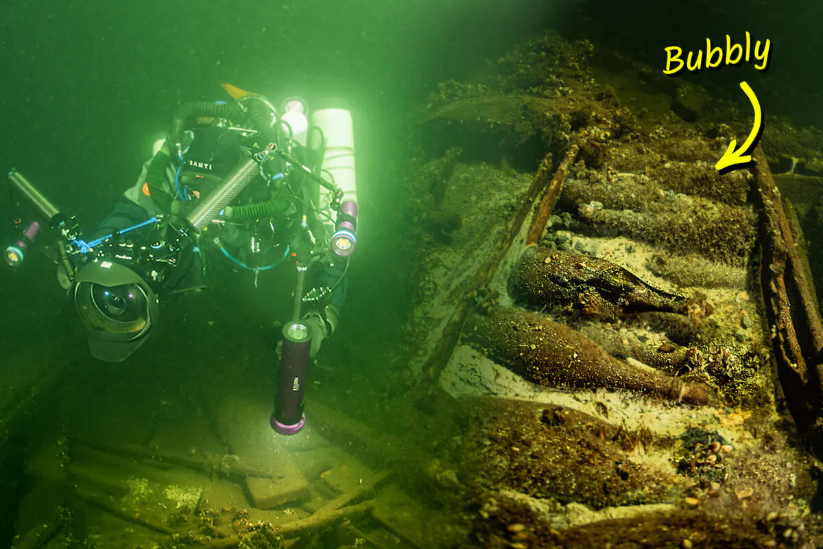 Divers discovered bottles of champagne in the Baltic Sea. (Courtesy of Baltictech)