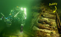 Divers Find 175-Year-Old Sealed Bottles of Champagne in Shipwreck—As Well As This ‘Precious’ Cargo: