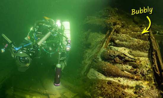 Divers Find 175-Year-Old Sealed Bottles of Champagne in Shipwreck—As Well As This ‘Precious’ Cargo: