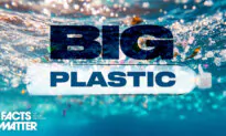 The Rise of Edible Bioplastics | Facts Matter