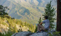 The Nature Cure for Mental Health