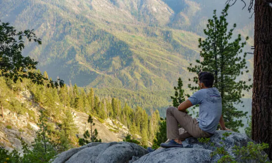 The Nature Cure for Mental Health