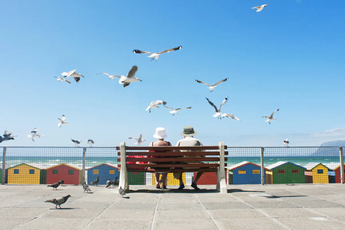Muizenberg Beach in Cape Town, South Africa, always extends the invitation to sit for a while and enjoy the seagulls. (shaun/Getty Images)