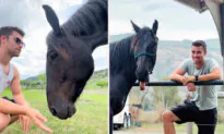 Rescue Horse Who Wouldn’t Let Anyone Near Him Falls in Love With His Owner’s Fiance—Their Bond Is Endearing