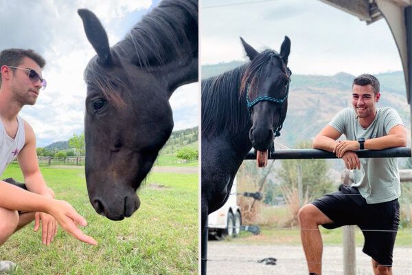 Rescue Horse Who Wouldn’t Let Anyone Near Him Falls in Love With His Owner’s Fiance—Their Bond Is Endearing