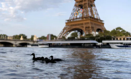 Olympic Marathon Swim Test Run Is Canceled Over Water Quality Concerns for Seine River