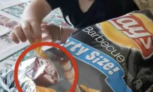 Boys Munch on Chips and Make-Believe Dip
