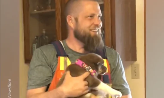 Father’s Day Surprise: Canadian Dad Overcome With Emotion When Gifted Husky Puppy