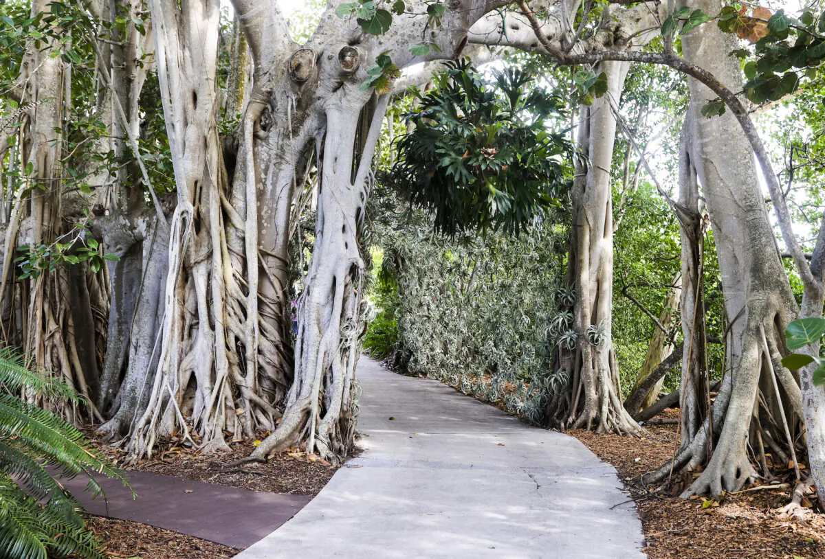 Sarasota's Marie Selby Botanical Gardens is on Time magazine's list of World's Greatest Places. (Dirk Shadd/Tampa Bay Times/TNS) 