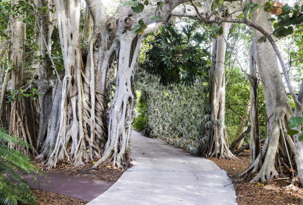 Time Magazine Named Sarasota's Selby Gardens One of the World's Greatest Places