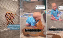 VIDEO: 7-Month-Old Baby Giggles Uncontrollably on Meeting His Puppy for First Time—It’s Hilarious