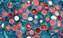 CDC Issues Health Alert to Doctors Over Deadly Mpox Virus Strain