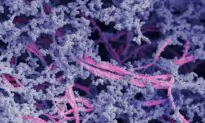 New Biomaterial May Regrow Damaged Cartilage in Joints