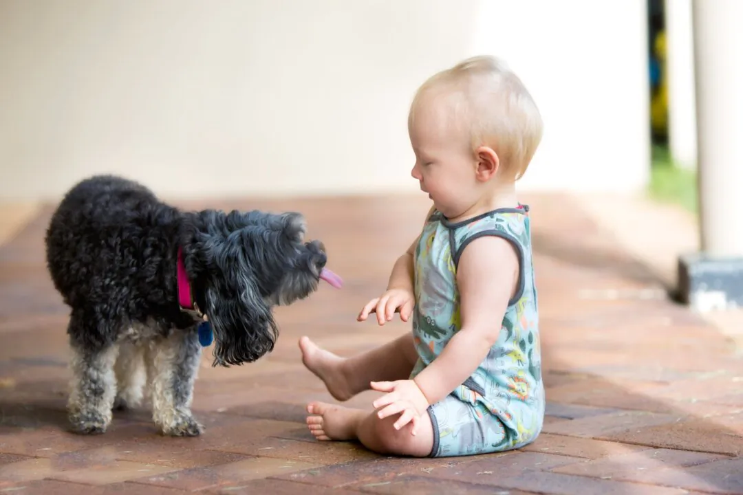 Dogs and other animals trade microbes with the people living in their homes. (Shutterstock)
