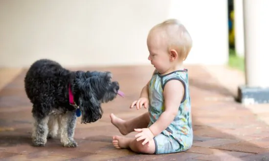 The Many Health Benefits of Your Pet’s Bacteria