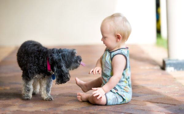 Pet Ownership Is Linked to Better Gut Health