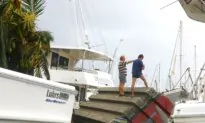 Property Owners in Queensland Pay up to 12 Times More for Insurance Than Southern Neighbours, Senate Inquiry