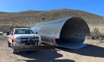 Wildlife Crossing Project Will Close Stretch of Northern California Highway for 2 Weeks