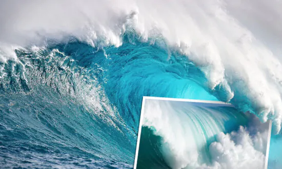 Photographer Takes Breathtaking Shots of Giant Wave ‘Jaws’ on Maui’s North Shore—And It’s Unreal