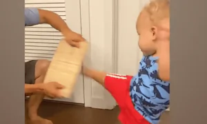 Super Baby’s Passion for Martial Arts