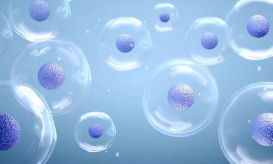 New Hope for Incurable Conditions: Breakthroughs in Stem Cell and Exosome Therapy