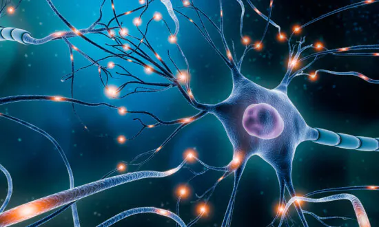 What an Overreactive Nervous System Is and How to Calm It
