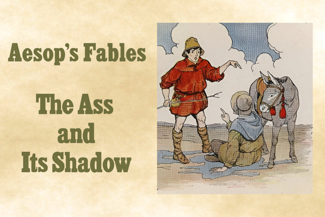 Seeing Its Owner Fighting With a Traveler Over Its Shadow, the Ass ...