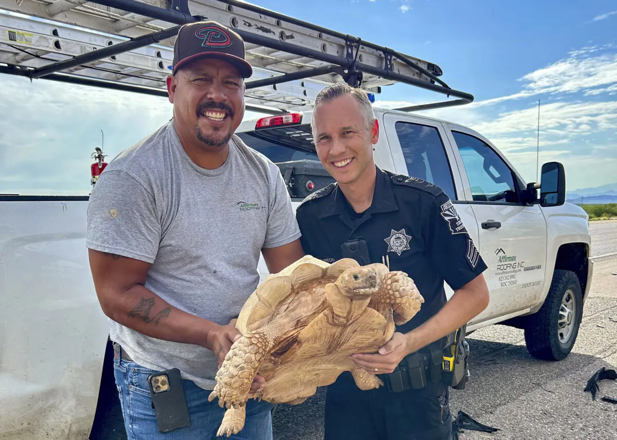 An unidentified driver and Arizona Department of Public Safety Sgt. Steven Sekrecki hold a rescued a sulcata tortoise that was attempting to cross Interstate 10 near Picacho, Ariz., on July 30, 2024. (Arizona Department of Public Safety via AP)