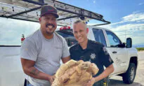 Large Desert Tortoise Rescued From Arizona Highway After Escaping From Ostrich Ranch 3 Miles Away