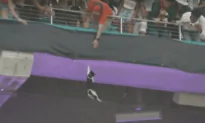 Stadium-Goers Use Flag to Catch Falling Cat