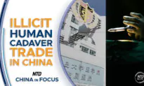 Chinese Firm Accused of Illegally Sourcing Bodies
