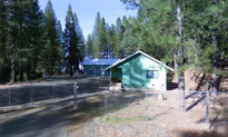 Dog Attack Suspected in Woman’s Death on Northern California Trail