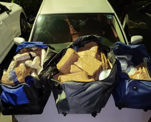 Seized fentanyl pills in three duffle bags after the March 2023 arrest. (U.S. Attorney's Office)