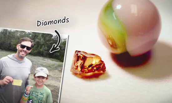 Boy Pulls Shining Gem From Soil in State Park Where Volcanic Crater Yields Diamond Every Day