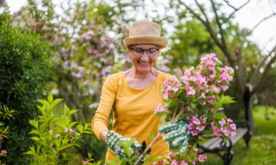 Accessible Side Hobbies for Extra Retirement Income
