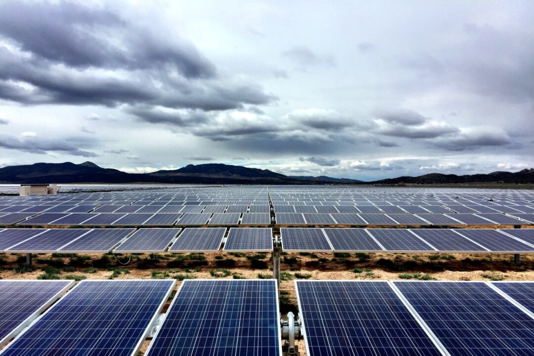 Report Highlights Global Shift to Renewable Energy