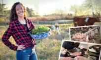 Family of 6 Move to Tiny Homestead to Grow Own Organic Food to Live—Share Pitfalls and Lessons