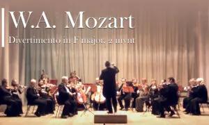 Mozart: Divertimento in F Major, 2nd Mvt. | Dmitry Polyakov | Musical Offering Festival