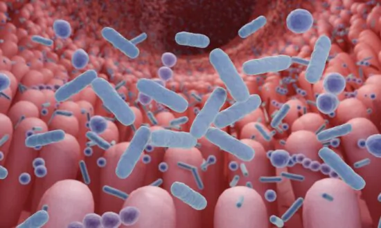 Pollutants Can Harm Gut Health, Lead to Metabolic Disorders