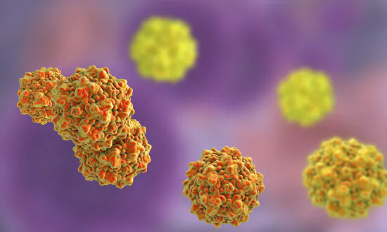 CDC Issues a Health Alert About Parvovirus: What Is It?