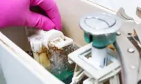Many Simple Repairs for Toilets