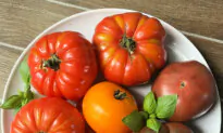 5 Tomato Recipes to Take Advantage of Summer’s Ripe Red Bounty
