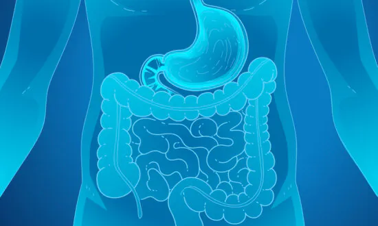Malabsorption Prevents Muscle Building–Here’s How to Improve Food Absorption