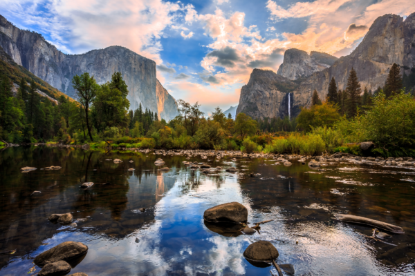 John Muir: Father of Our National Parks