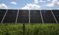 Queensland, Smart Energy Council Launch Solar Panel Waste Pilot Project