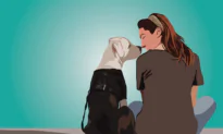 Your Dog’s Gross Kisses Might Be Good for You