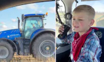 8-Year-Old Skillfully Drives Tractors and Helps With Farm Chores, Says He’s Going to Take Over the Family Farm