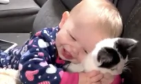 Baby Loves Her New Kitten