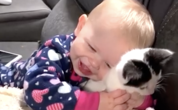 Baby Loves Her New Kitten