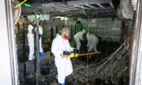 California Seized $534 Million in Illegal Cannabis in 2024, as Challenges Remain for Legal Market